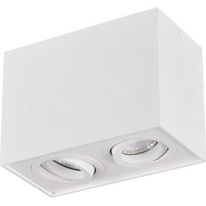 Trio led opbouwspot | Rechthoek | Biscuit | Wit | 2x GU10 fitting