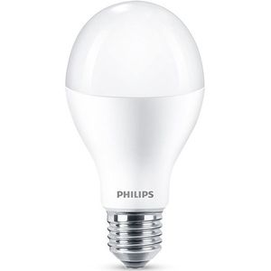 Philips E27 led-lamp peer mat koel wit 15.5W (120W)