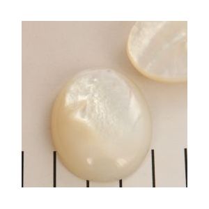 cabochon 40 x 30 mm parelmoer