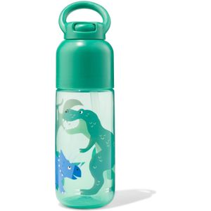 HEMA Waterfles Met Rietje Dino 300ml