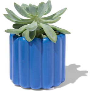HEMA Bloempot Ø6.5x7cm Keramiek Ribbel Blauw (kobaltblauw)