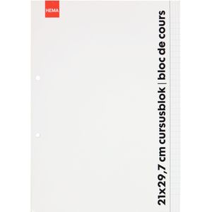 HEMA Cursusblok - A4 - Commercieel Geruit 4x8 Mm