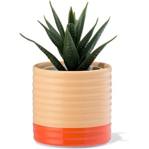 HEMA Bloempot 7.1x7x9.9cm Keramiek Ribbel Perzik (perzik)