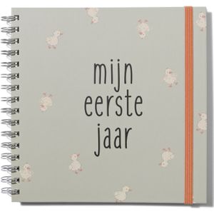HEMA Babyboek 1e Jaar