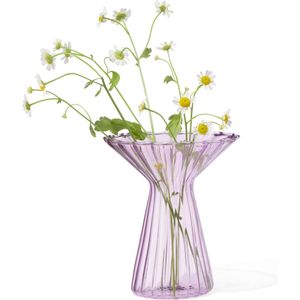 HEMA Vaas XS Glas Kraag Lila (lila)