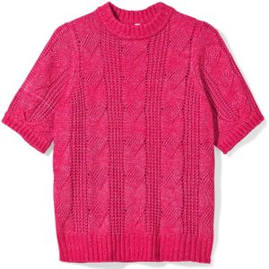 HEMA Damessweater Foxi Roze (roze)