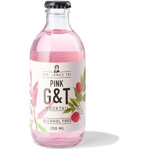 HEMA Alcoholvrije Pink G&T 250ml