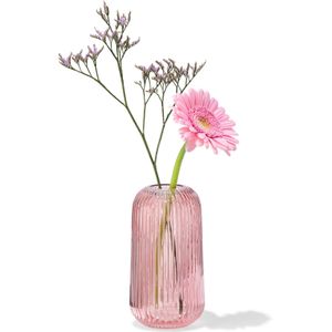HEMA Vaas Ø4x12cm Glas Ribbel Rood (rood)