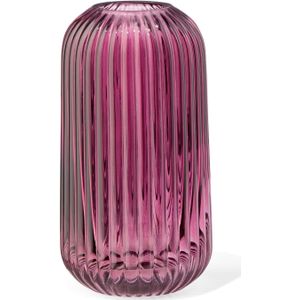 HEMA Vaas Voor Geurstokjes XS Glas Ribbel (donkerrood)
