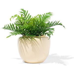 HEMA Bloempot 15x10x13cm Keramiek Crème (creme)
