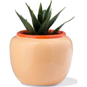 HEMA Bloempot 9x7x7.4cm Keramiek Perzik (perzik)
