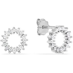 FAVS Oorknopjes 88386698