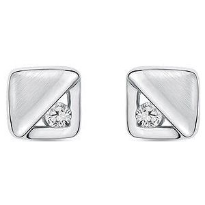 FAVS Oorknopjes 88363027