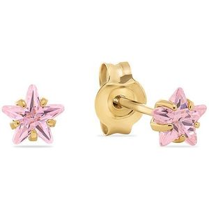 FAVS Oorknopjes 89193363