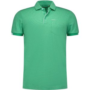 New Zealand Auckland Gestreept Poloshirt - 25DN106 Dustin