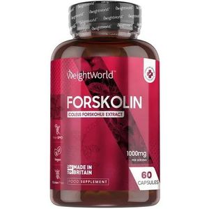 Pure Forskolin - 1000 mg 60 capsules - Natuurlijk voedingssupplement - Coleus Forskohlii-extract