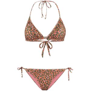 Shiwi Liz Bikini Set Tropical Tiger