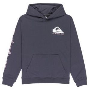 Quiksilver - Omni Logo - Hoodie - Regular Fit - Katoen en Polyester