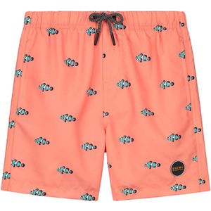 Shiwi Swimshort Clownfish