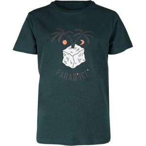 Brunotti Artisty-Nico T-shirt