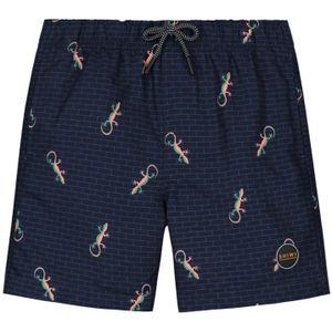 Shiwi Zwembroek Lizard