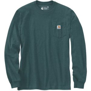 Carhartt - Mountain Graphic - Longsleeve T-Shirt - Blauw