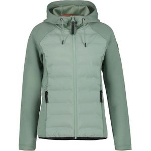Icepeak Ashburn Jas