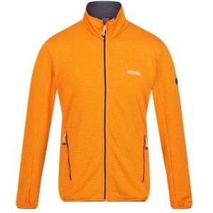 Regatta Highton Lite Softshell Jas