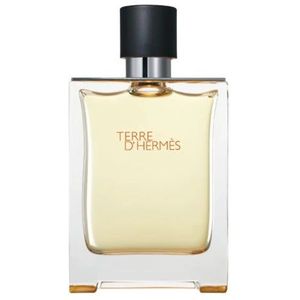 Hermès Terre D'Hermès Eau de Toilette 100 ml