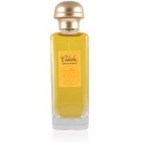 Hermès Caleche Soie de Parfum Eau de Parfum 100 ml