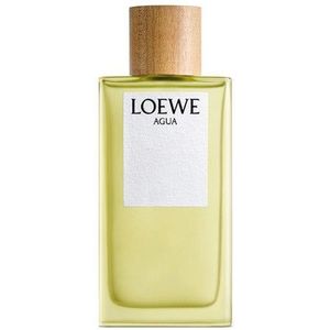 Loewe Agua De Loewe Eau de Toilette 100 ml