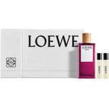 Loewe Earth Gift Set