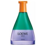 Loewe Agua Miami Eau de Toilette 100 ml