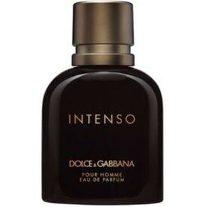 Dolce & Gabbana Intenso Eau de Parfum 40 ml