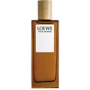 Loewe Pour Homme Eau de Toilette 100 ml