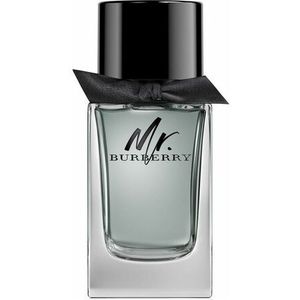 Burberry Mr. Burberry Eau de Toilette 150 ml