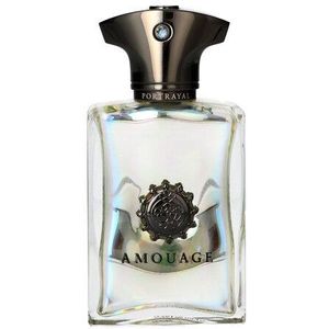 Amouage Portrayal Man Eau de Parfum 100 ml