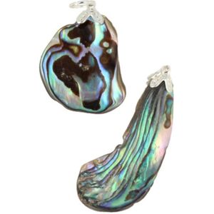 Abalone schelp edelsteen hanger
