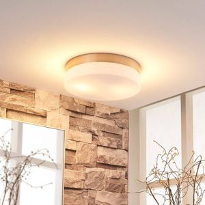 Lindby - Plafondlamp badkamer - 2 lichts - glas, metaal - H: 6.5 cm - E27 - wit, gesatineerd nikkel