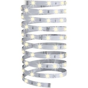 Paulmann YourLED Eco LED strip, 5m wit warmwit