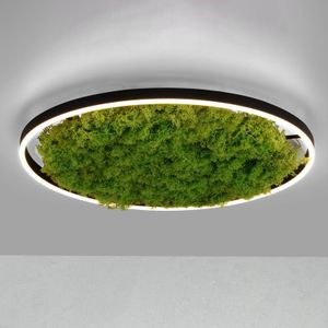 JUST LIGHT. LED plafondlamp Green Ritus, mos dimbaar Ø58,5cm