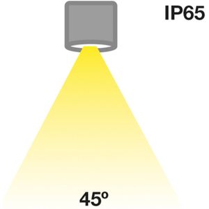 The Light Group SLC MiniOne Fixed LED downlight IP65 zwart 930