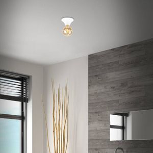 Briloner Plafondlamp Tepel voor de badkamer IP44 E27 wit