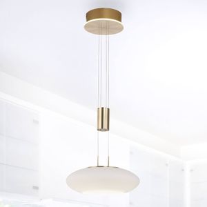 Q-Smart-Home Paul Neuhaus Q-ETIENNE LED hanglamp 1-lamp messing