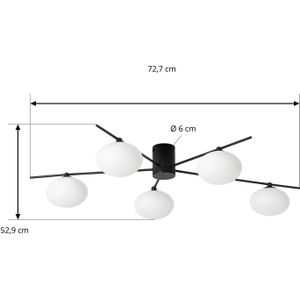 Lindby Valisa plafondlamp, zwart, 5-lamps