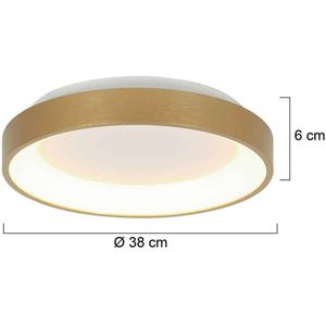 Steinhauer Ringlede LED plafondlamp, goud, hoogte 6 cm, Ø 38 cm