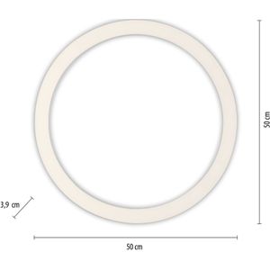 Pure Lines LED plafondlamp, rond Ø50cm zilver