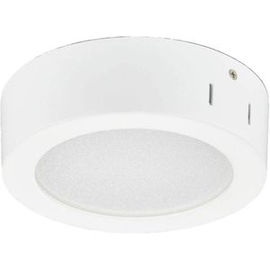 Philips Professional LED opbouwdownlight DN145C LED10S/830 PSU II WH