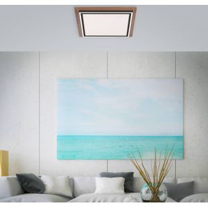 Paul Neuhaus Palma LED plafondlamp CCT vierkant