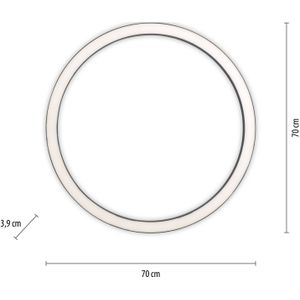 LED plafondlamp PURE Lines, Ø 70 cm, antraciet, CCT, afstandsbediening